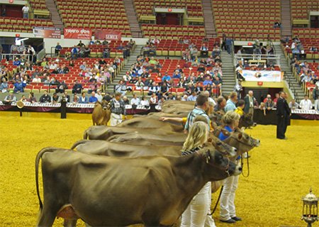 The 20th China Animal Husbandry Expo 2022 